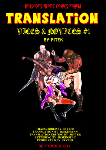 Vices &amp; Novices cover