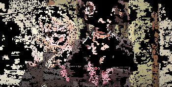 Cherry &amp; Gals Gifs cover
