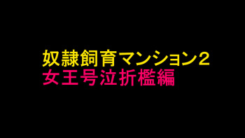 Dorei Shiiku Mansion 2 Joou Goukyuu Sekkan Hen cover