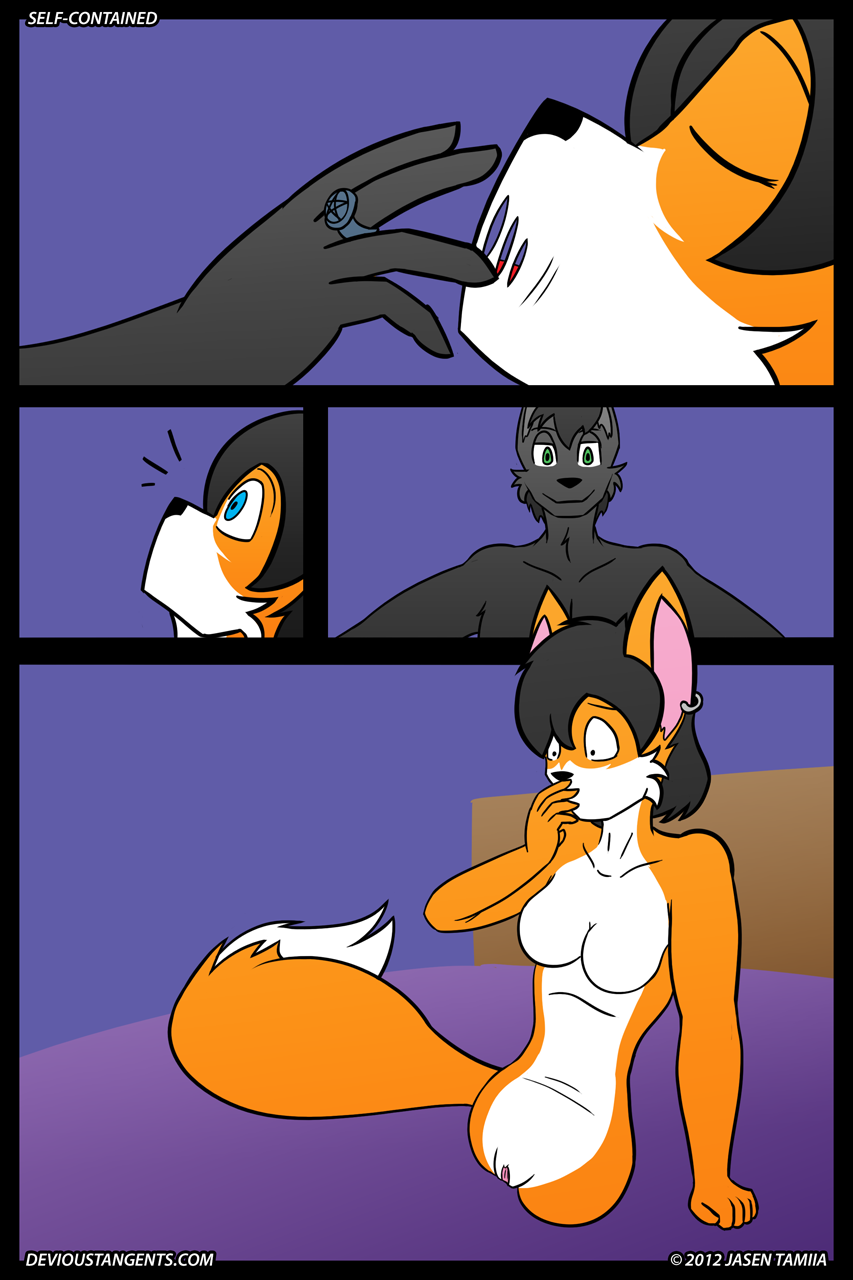 Self-Contained page 3 full