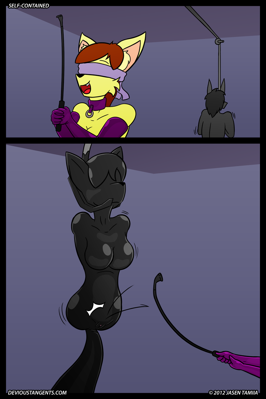 Self-Contained page 8 full