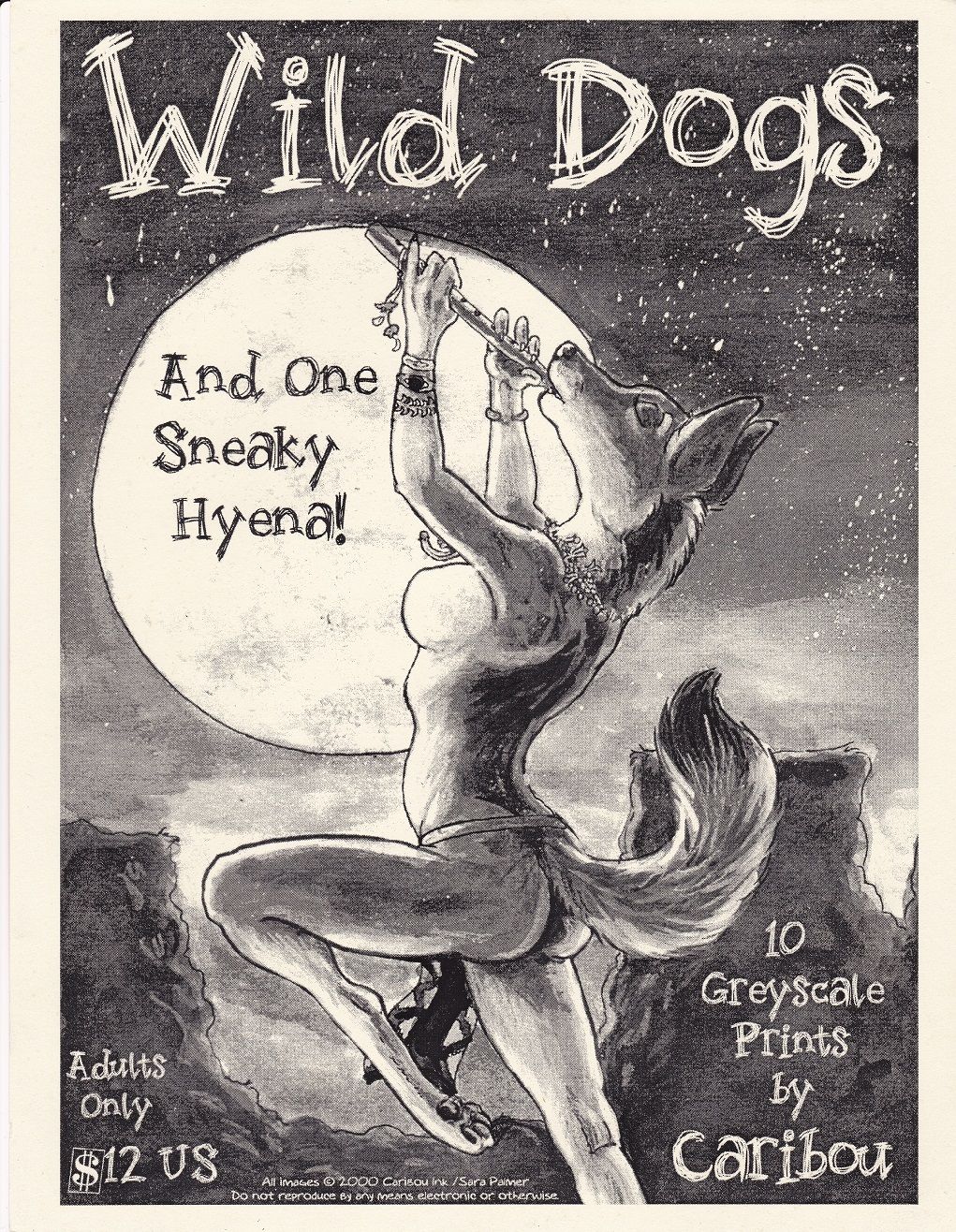 Wild Dogs page 1 full