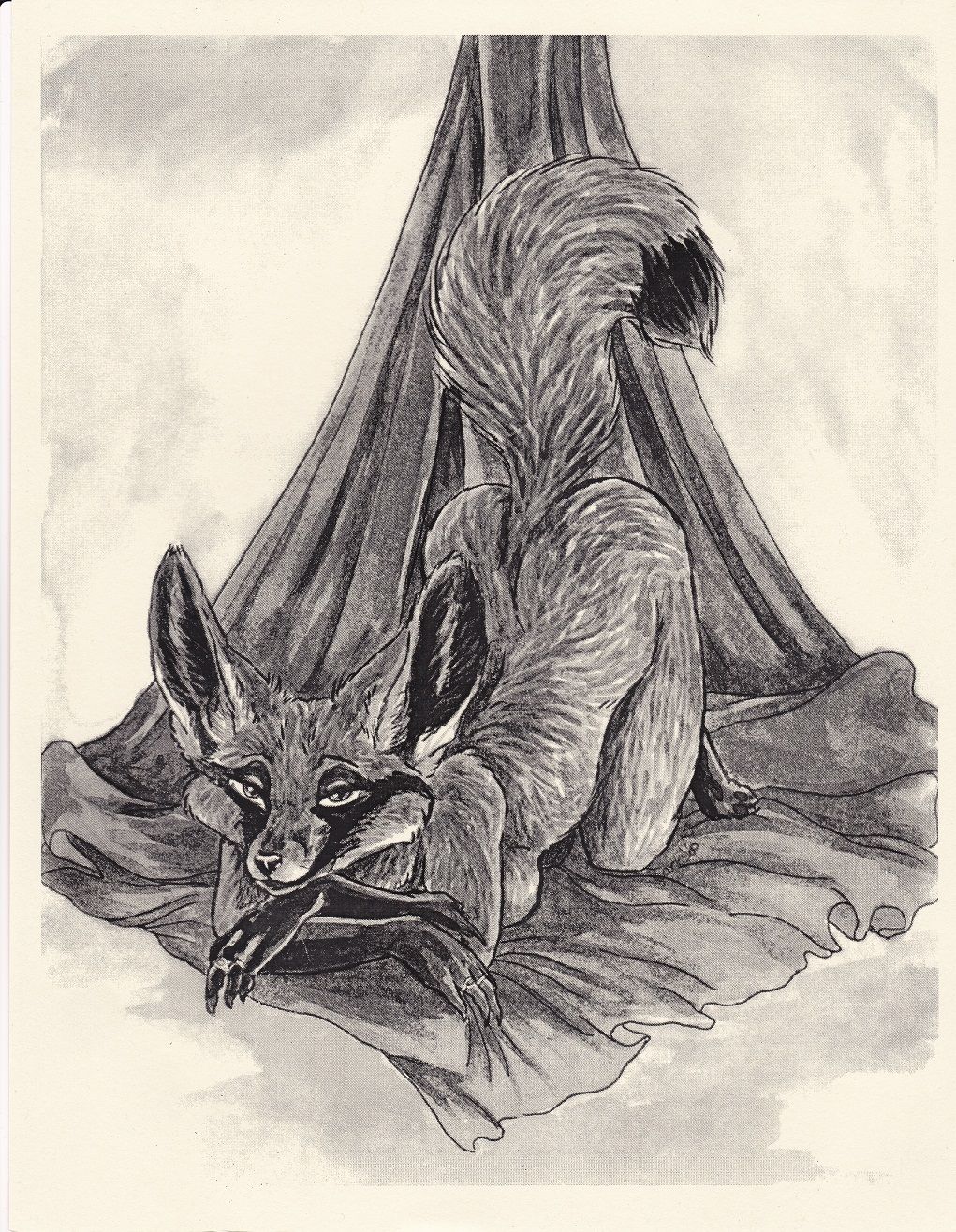 Wild Dogs page 4 full