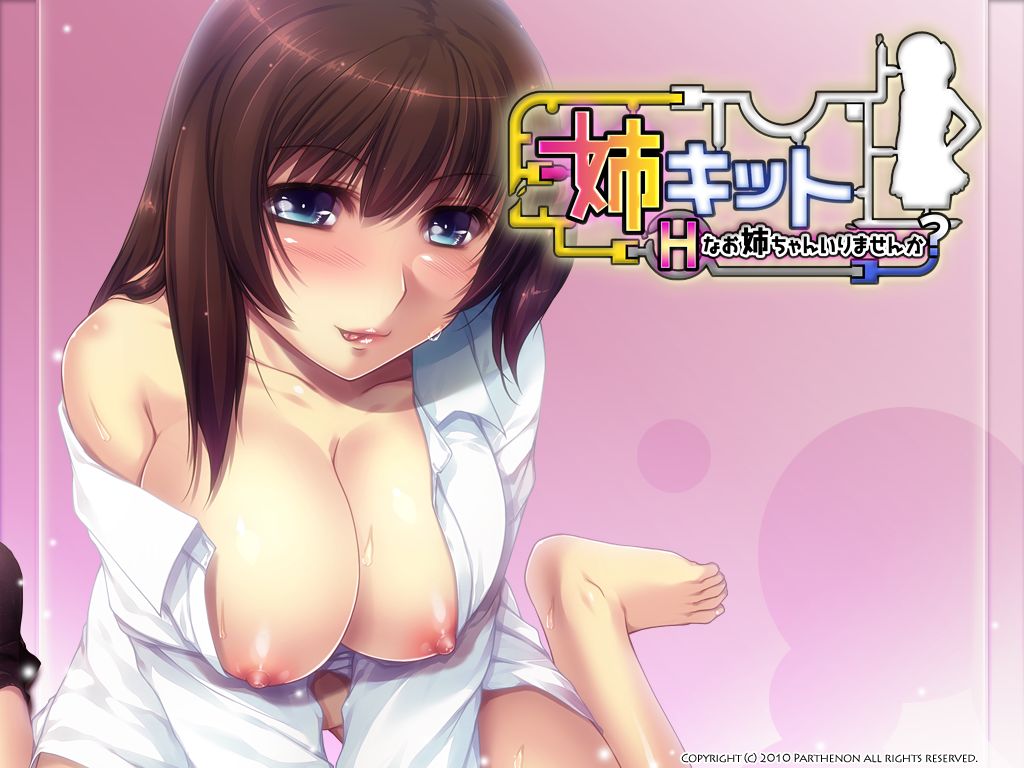 Ane Kit - H na Oneechan Irimasenka? page 3 full