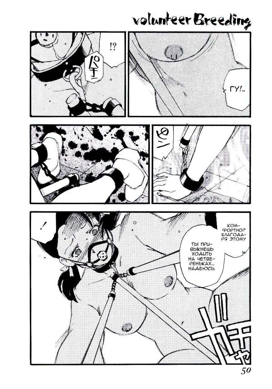 Volunteer Breeding Ch.3 page 2 full