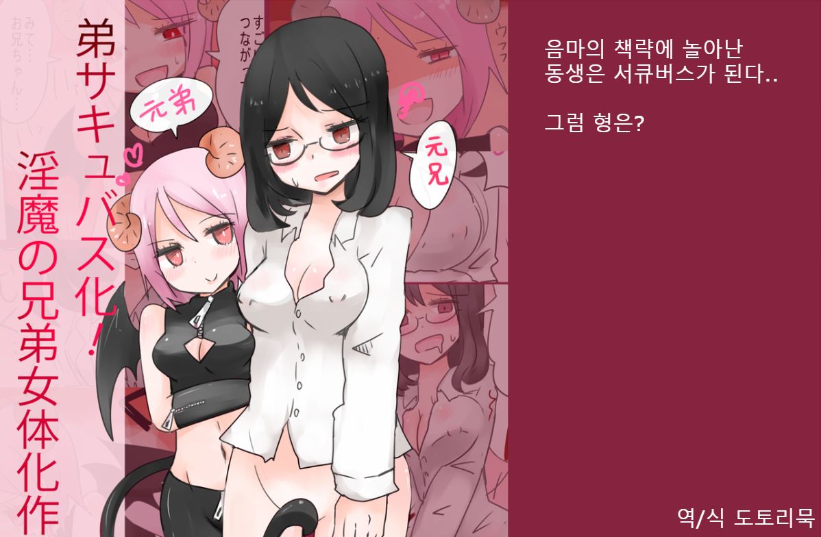 Otouto Succubus-ka! Inma no Kyoudai Nyotaika Sakusen 2 | 음마의 형제 여체화 작전 2 page 1 full