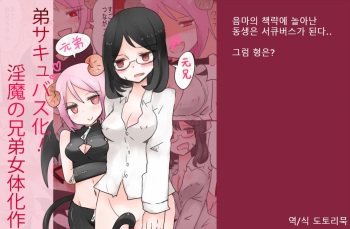 Otouto Succubus-ka! Inma no Kyoudai Nyotaika Sakusen 2 | 음마의 형제 여체화 작전 2 cover
