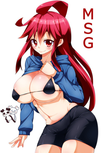 MSG cover