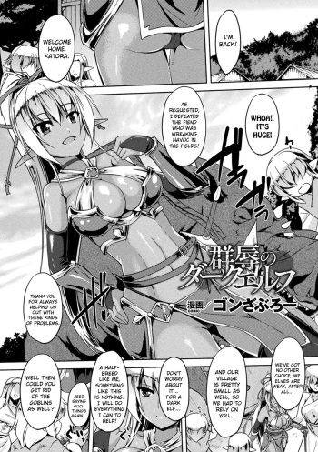 Gang-raped Dark Elf cover