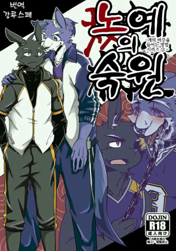Dorei no Honkai cover
