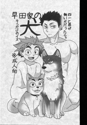 Hayatake no Inu cover