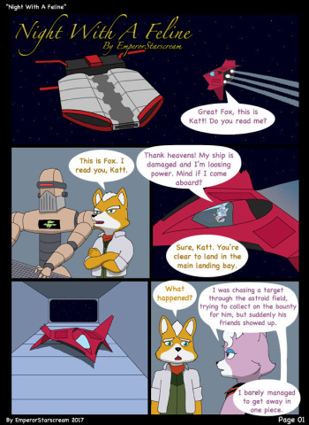 Night With A Feline cover