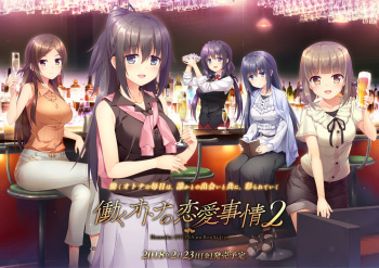 Hataraku Otona no Renai Jijou 2 cover