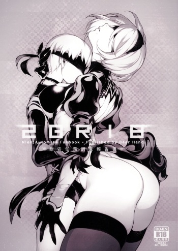 NieR:2BR18 cover