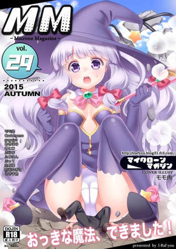 Microne Magazine Vol. 29 cover
