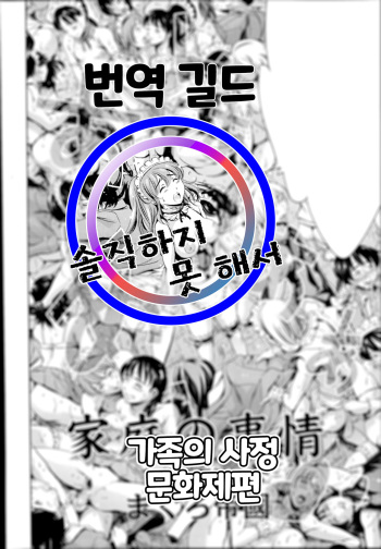 Katei no Jijou Bunkasai-hen | 가족의 사정 문화제편 cover