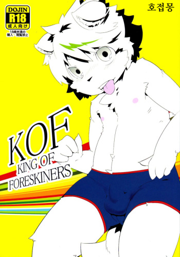 KOF KING OF FORESKINERS cover