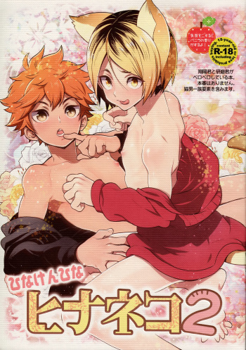 Hina Neko 2 cover