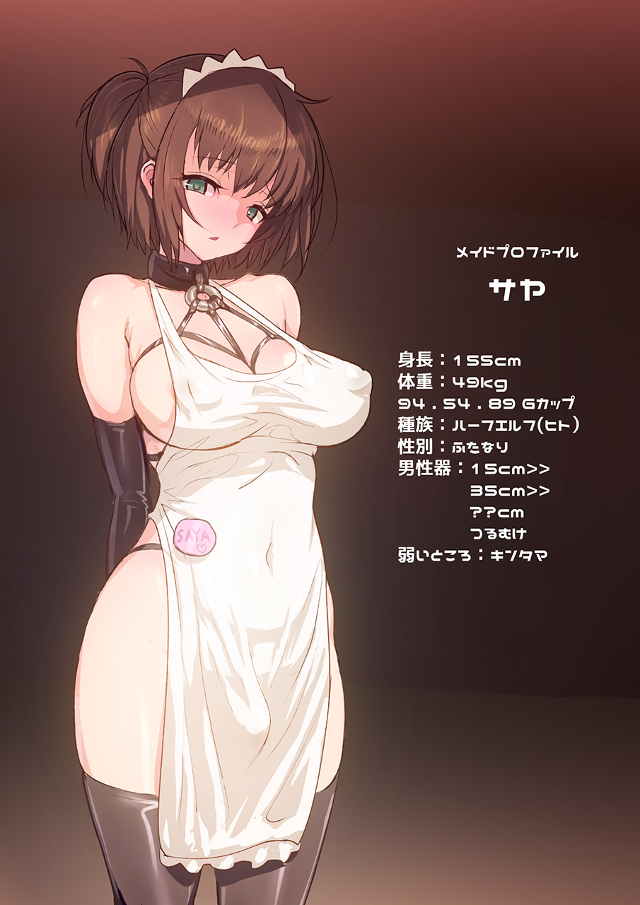 Tachi E Renshuu + Maid no Profile page 2 full