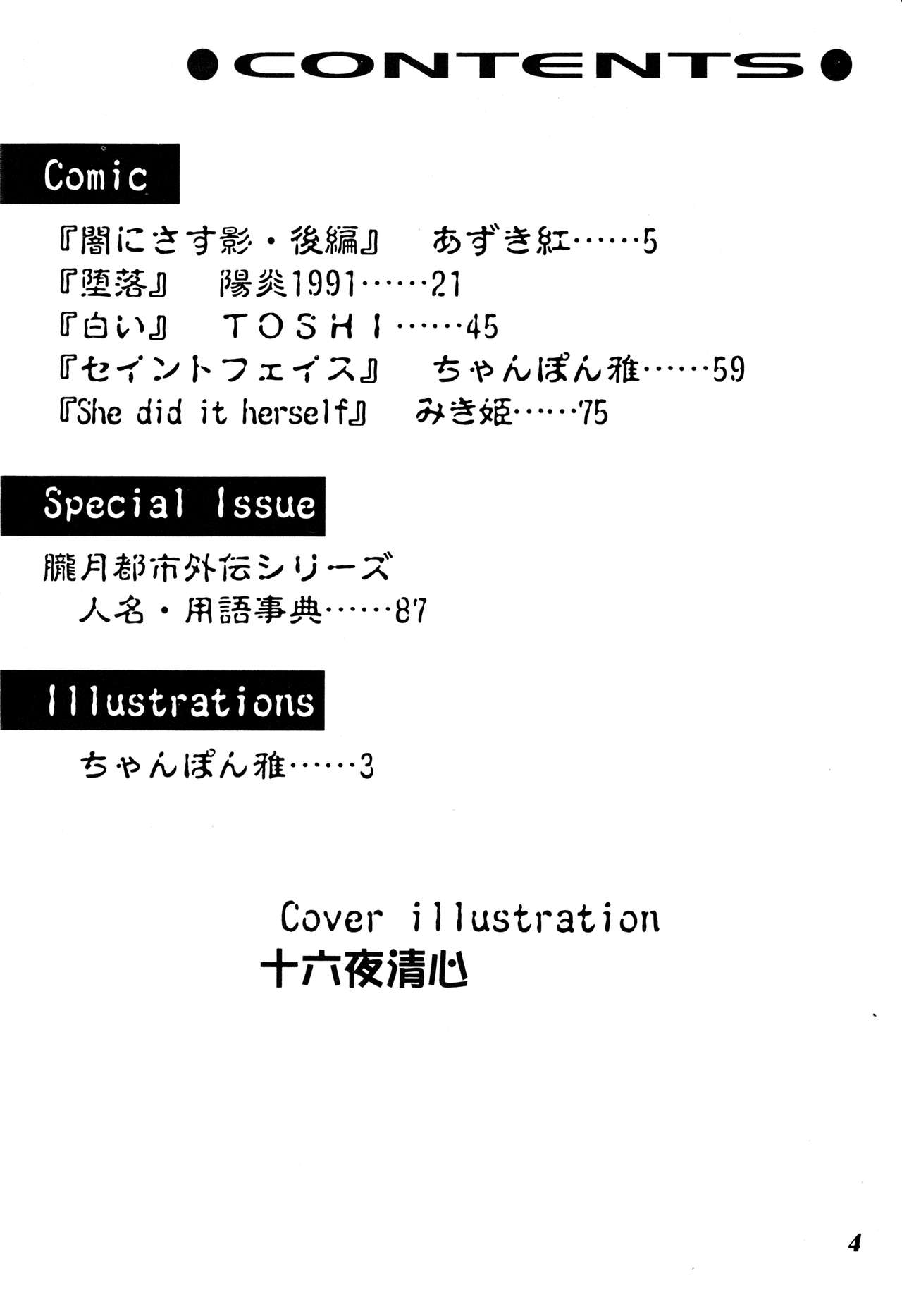 Misty Moon Metropolis Gaiden Ichi page 3 full