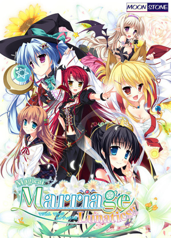 Magical Marriage Lunatics!! cover