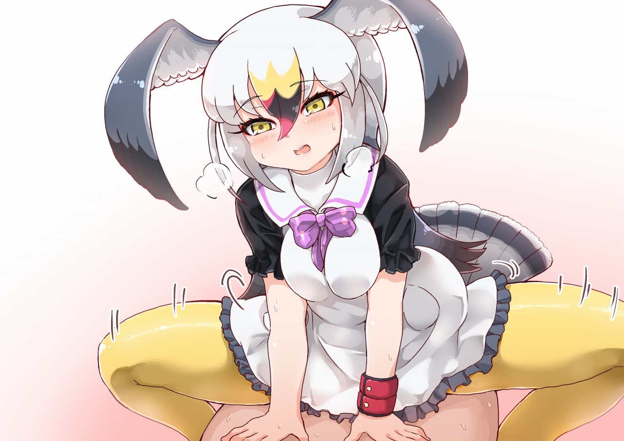 ウミネコちゃんに愛されたい page 5 full