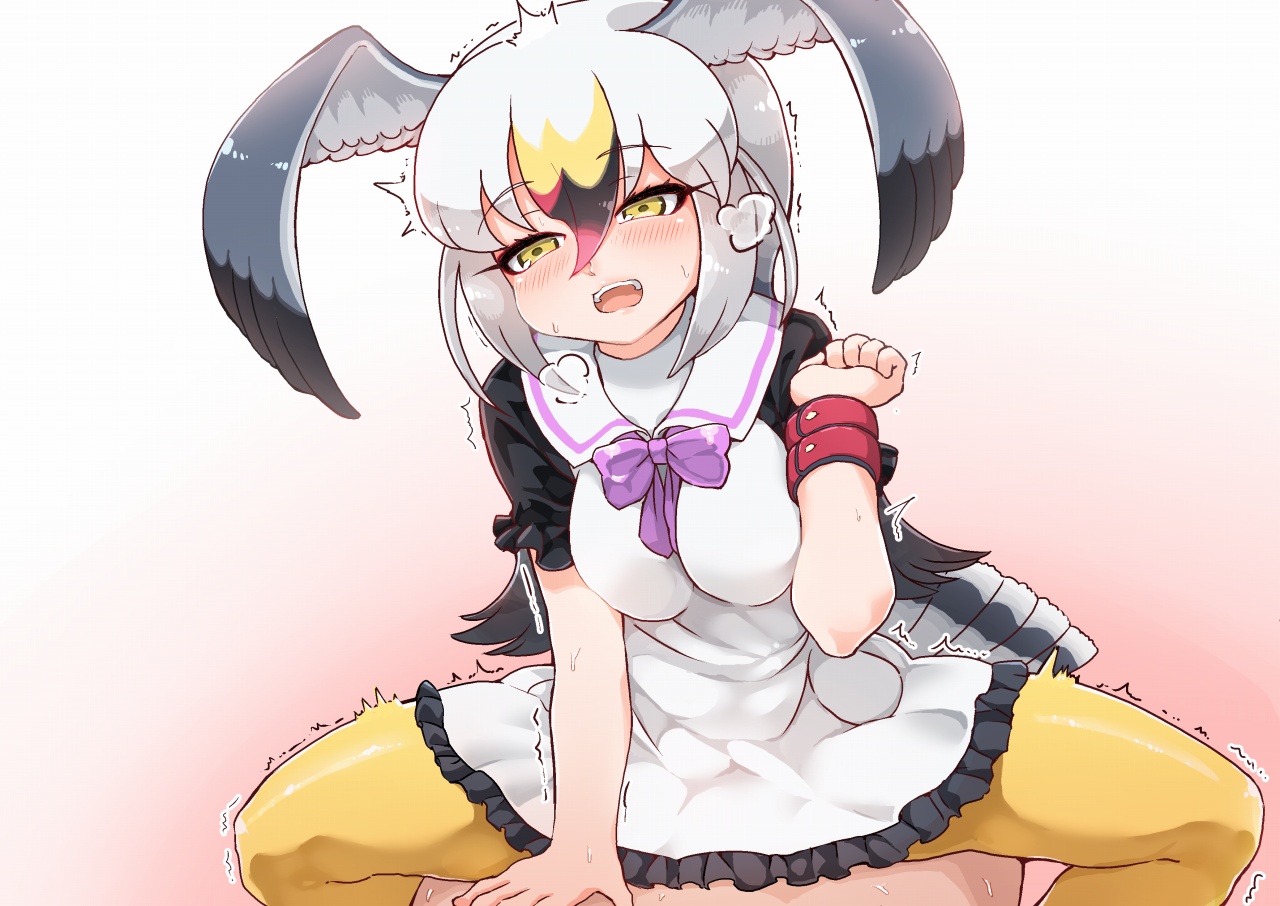 ウミネコちゃんに愛されたい page 6 full
