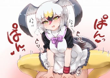 ウミネコちゃんに愛されたい cover