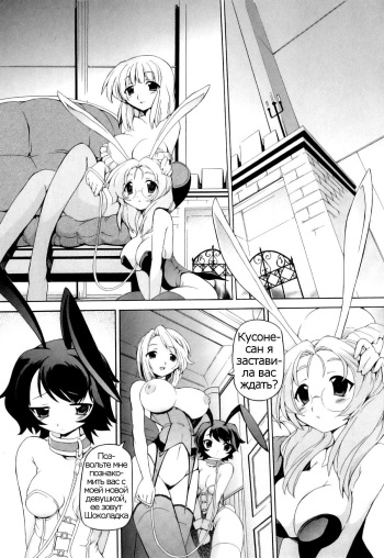 Honey na Bunny | Honey and Bunny. cover