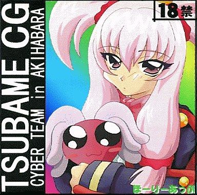 TSUBAME CG CYBER TEAM in AKIHABARA page 1 full