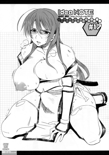 idea NOTE #17 cover