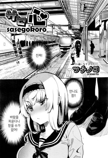 Sasegokoro cover