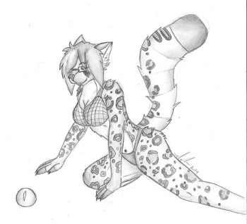 Curiosity cover