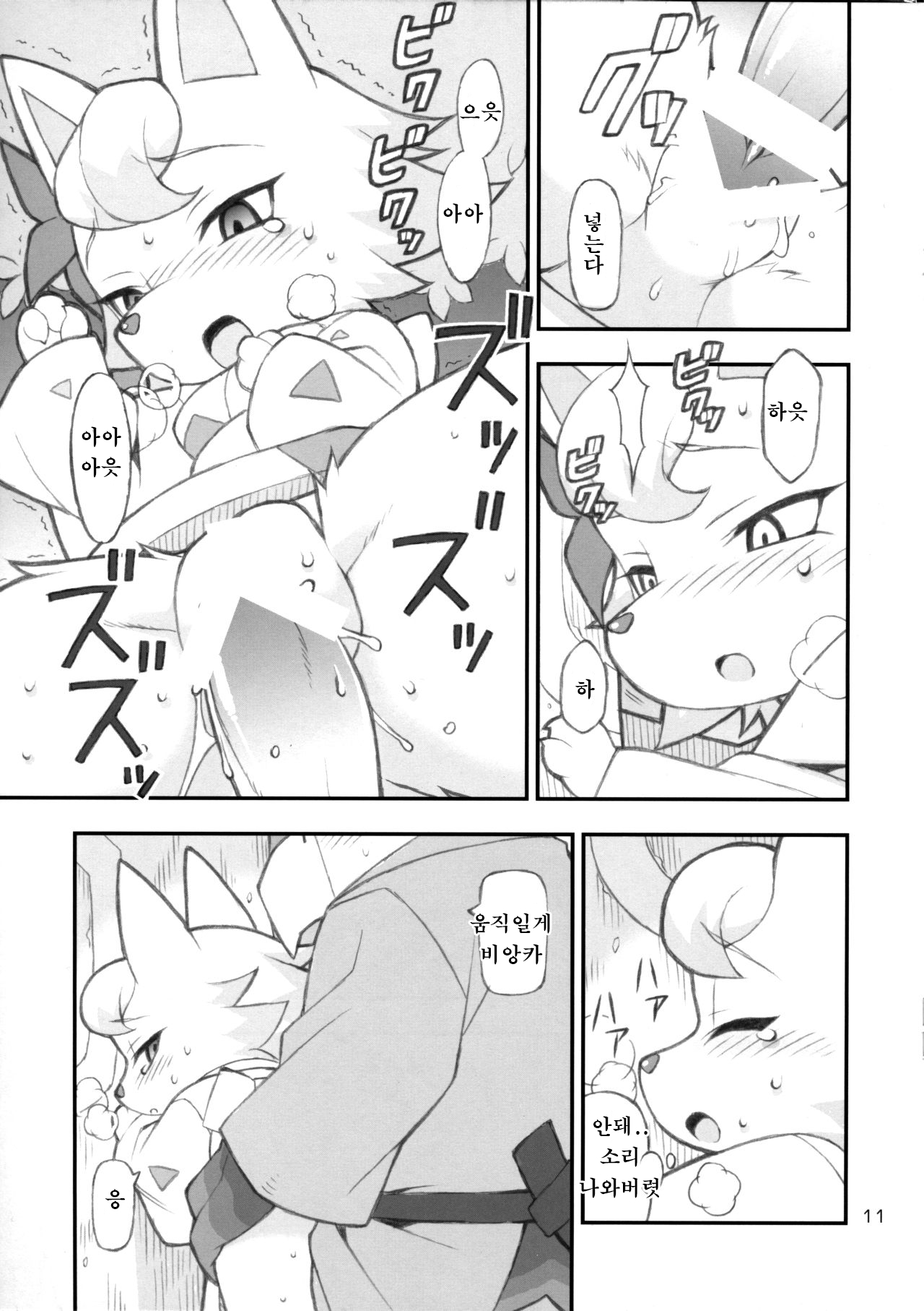 Doubutsu Mura Nikki page 10 full