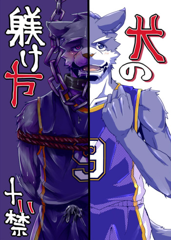 Inu no Shitsukekata cover