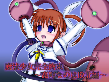 Mahou Shoujo Kanzen Kousoku ~Takamachi Nanoha Haiboku Hen~ cover