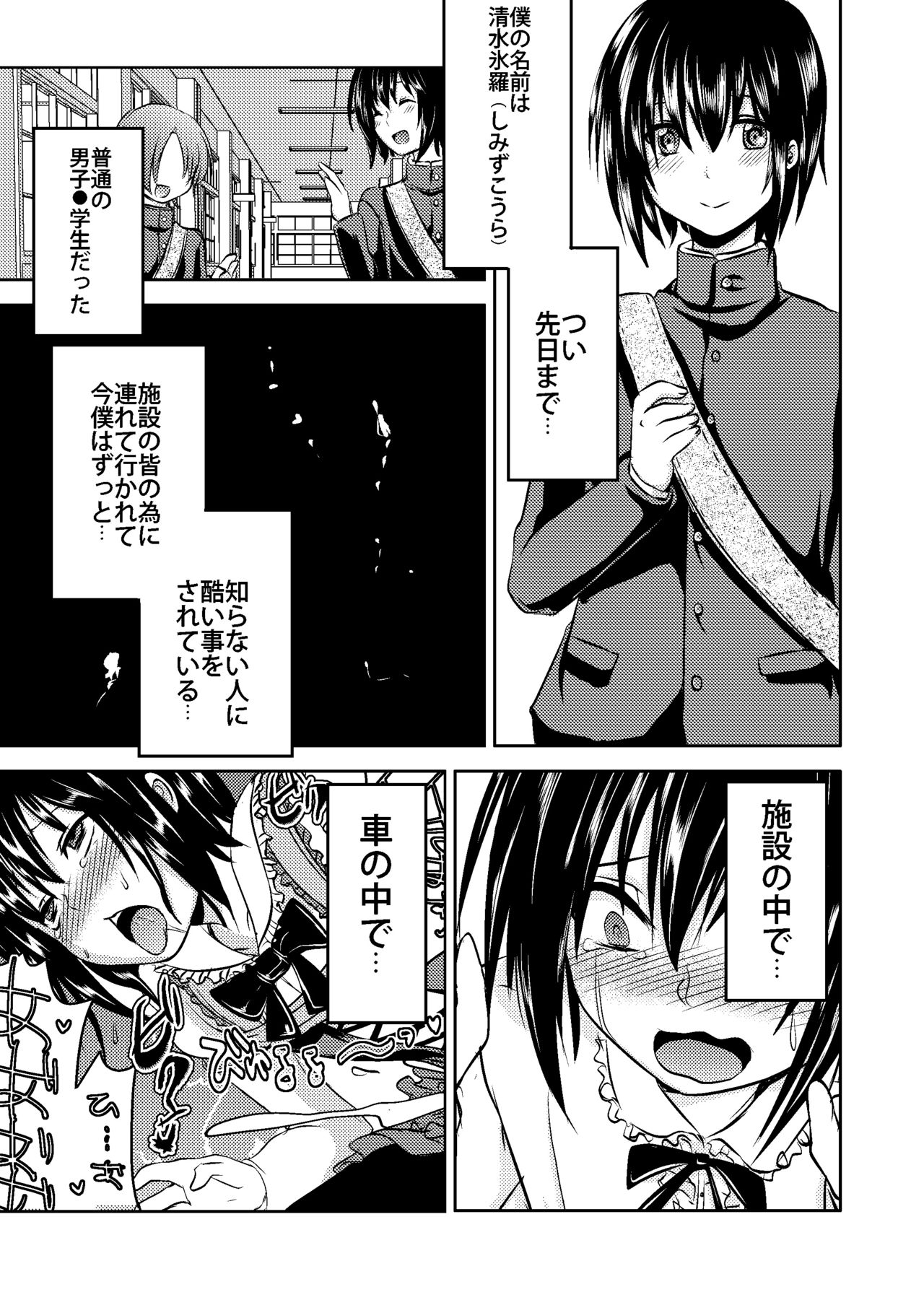 Berry Devily ~Josou Shounen Biyaku Chokyou Hen~ page 5 full
