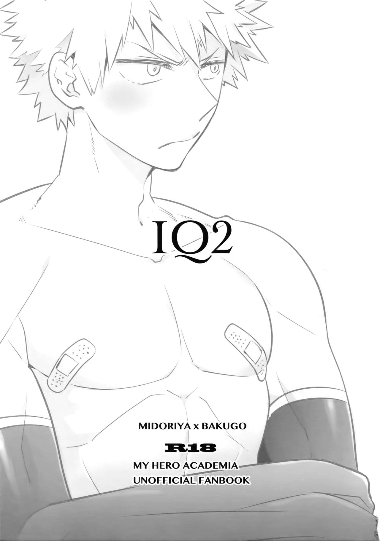 IQ2 page 2 full