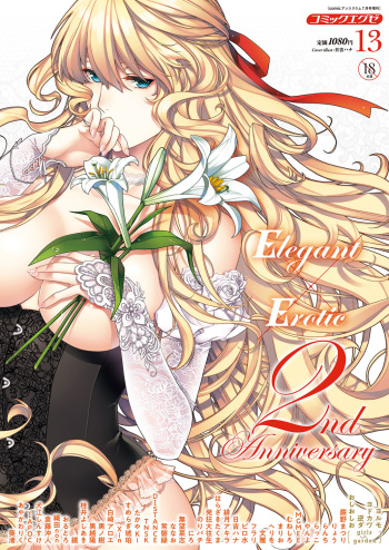 COMIC ExE 13 cover