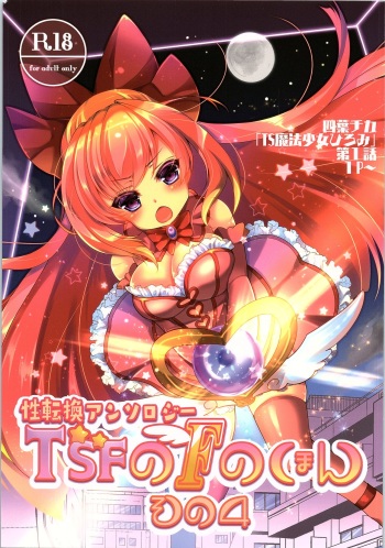 TSF no F no Hon Sono 4 cover