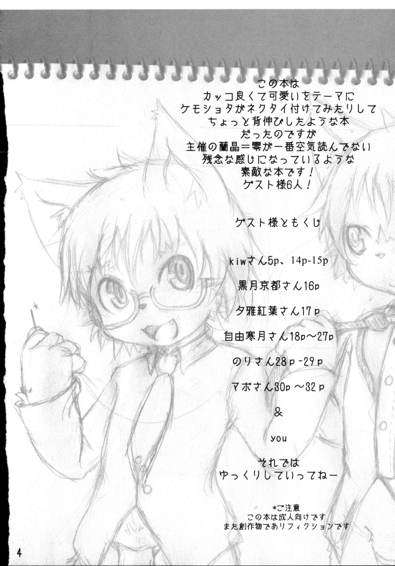 Dima&amp;Arze2010 page 3 full