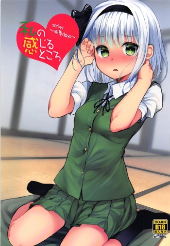 Youmu Days ~Watashi no Kanjiru Tokoro~ cover