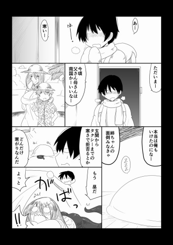 Hebi Nee-san to Fuyugomori. cover