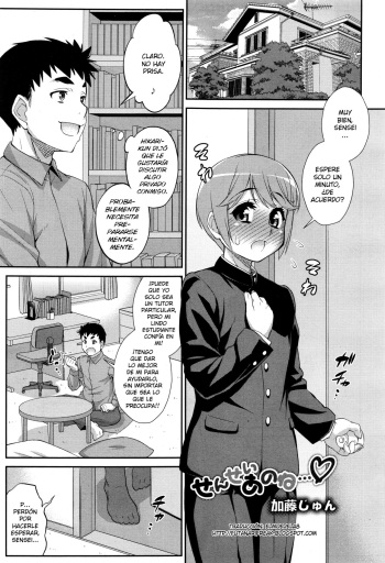 Sensei anone... cover