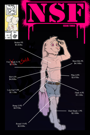 NSF Issue 3 cover