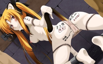Baishunkutsu <Kemomimi Senmonten> cover