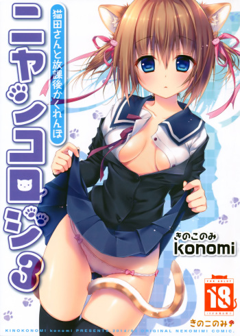 Nyancology 3 -Nekota-san to Houkago Kakurenbo- | Nyancology 3 -After School Hide and Seek With A Catgirl- cover