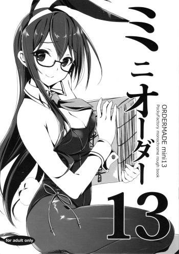 Ordermade Mini 13 cover