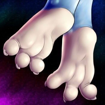 My Best Furry Feet / Paws  - females and males cover