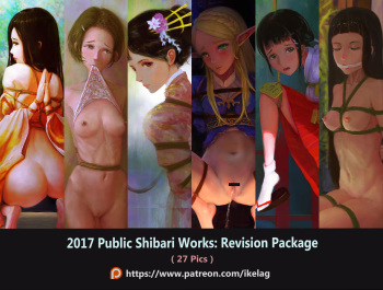 2017 Public Shibari Works: Revision Package cover